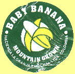 Baby Banana Mountain Grown 2.JPG (21966 Byte)