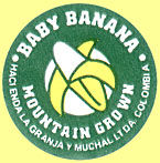Baby Banana Mountain Grown 3.jpg (10361 Byte)