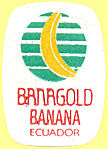 Banagold Banana Ecuador 2.jpg (7313 Byte)