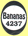 Bananas 4237.JPG (14126 Byte)