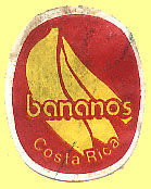 Bananos Costa Rica.jpg (11877 Byte)
