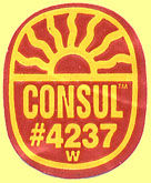 Consul TM 4237 W.jpg (11671 Byte)