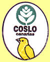 Coslo Canarias.jpg (5538 Byte)