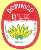 Dominico D'Liz Mexico.jpg (11160 Byte)