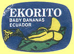 Ekorito Baby Bananas Ecuador.jpg (7778 Byte)