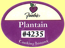Friedas Plantain 4235.jpg (13006 Byte)