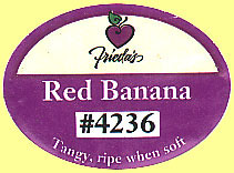 Friedas Red banana 4236.JPG (15324 Byte)