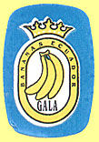 Gala Bananas Ecuador.jpg (10093 Byte)