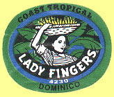 Lady Finger 4230 Dominico Coast Tropical.JPG (22743 Byte)
