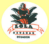 Lola Bananas Ecuador.jpg (8890 Byte)