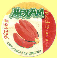 Mexam Red Banana 94236 Organically Grown.jpg (14344 Byte)