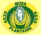 Musa Plantains 4235.jpg (10128 Byte)