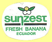 Sunzest Fresh Banana Ecuador.JPG (16620 Byte)