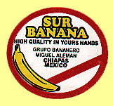 Sur Banana Mexico.JPG (26270 Byte)
