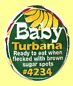 Turbana Baby 4234.JPG (23591 Byte)