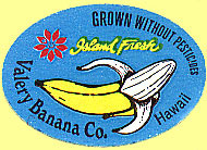 Valery Banana Co Island Fresh Hawaii.JPG (30847 Byte)