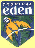 Tropical Eden.JPG (20951 Byte)